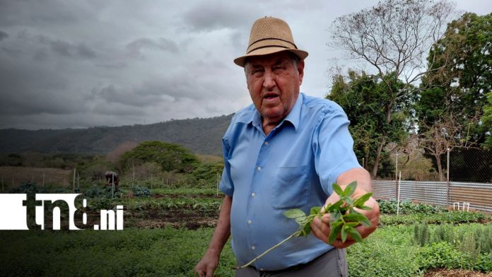 Foto: Despensa Nicaragua impulsa comercio justo con productores locales/TN8