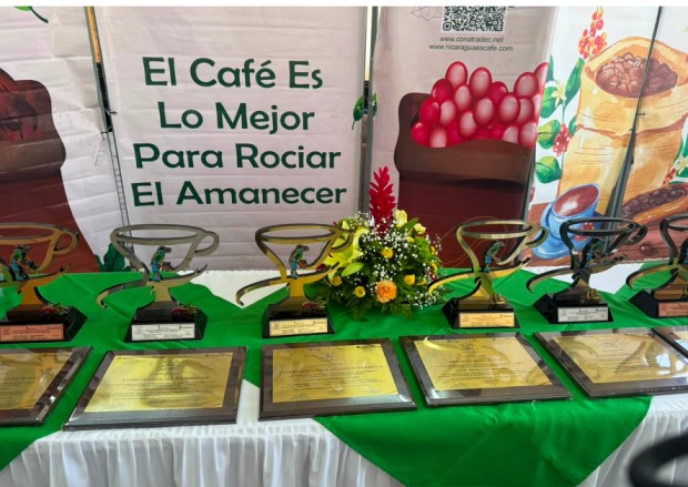 Foto: Café nicaragüense rompe récord histórico: 140 dólares por libra en subasta internacional