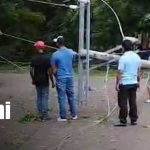 Foto:Fuertes vientos causan daños eléctricos y bloquean vías en Ometepe/TN8