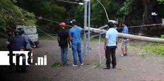 Foto:Fuertes vientos causan daños eléctricos y bloquean vías en Ometepe/TN8