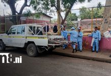 Casa a casa contra el dengue; brigadas intensifican lucha para eliminar criaderos en Managua Foto: Participación ciudadana, clave en la prevención del dengue en Managua/TN8