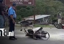 Jinotega: cinco lesionados tras dos accidentes de tránsito por invasión de carril Foto: Accidentes de tránsito en Jinotega / TN8
