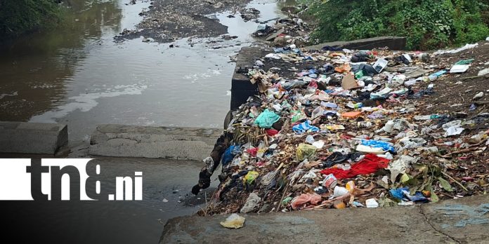 Foto: Acumulación de basura en cauces de Managua / TN8 Foto: Acumulación de basura en cauces de Managua / TN8