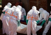 Foto: Brote de ébola en Congo deja 254 fallecidos/Cortesía