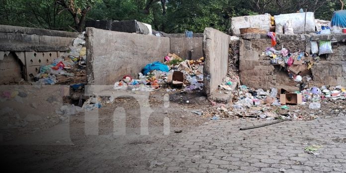 Foto: Medidas fuertes para quienes boten basura en vehículos desde Managua Foto: Medidas fuertes para quienes boten basura en vehículos desde Managua
