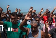 Foto: Inauguran temporada de pesca de la langosta espinosa del Caribe / TN8