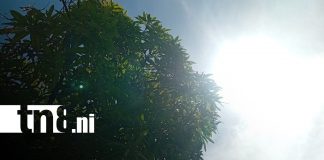 Foto: Pronóstico del clima en Nicaragua / TN8