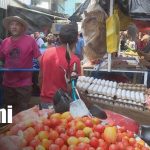 Canasta básica: Bajan precios en tomate, cebolla y queso seco esta semana Foto: Precios de la canasta básica en mercados nicaragüenses / TN8