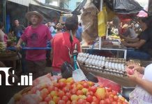 Canasta básica: Bajan precios en tomate, cebolla y queso seco esta semana Foto: Precios de la canasta básica en mercados nicaragüenses / TN8