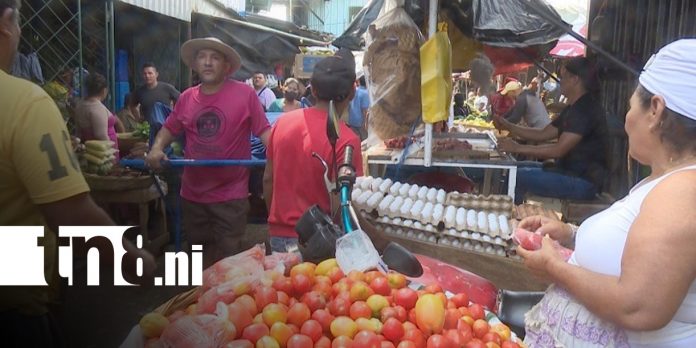 Foto: Precios de la canasta básica en mercados nicaragüenses / TN8 Foto: Precios de la canasta básica en mercados nicaragüenses / TN8