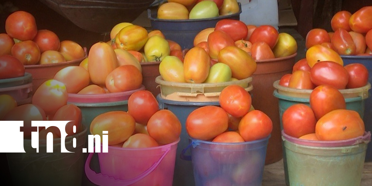Foto: Precios de la canasta básica en mercados nicaragüenses / TN8