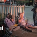 Del pavimento a las rejas: conductores ebrios protagonizan accidente en Estelí Foto: Capturan a sujetos por manejar ebrios en Estelí / TN8