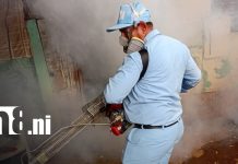 Foto: Fumigación en Managua / TN8