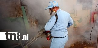Foto: Fumigación en Managua / TN8