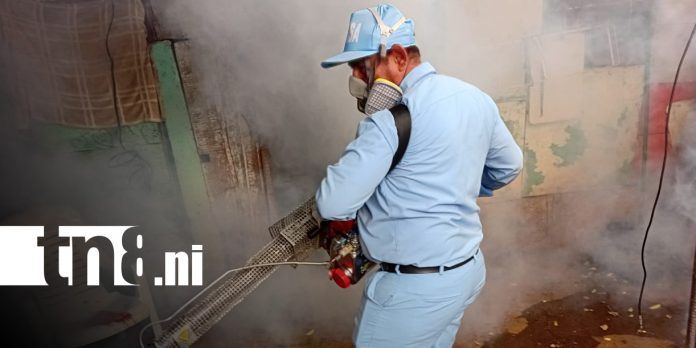 Foto: Fumigación en Managua / TN8 Foto: Fumigación en Managua / TN8