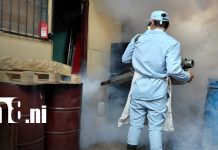 Casa a casa, brigadas de salud combaten criaderos de mosquitos en Managua Foto: Fumigación y abatización en Managua / TN8