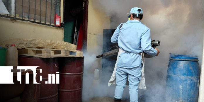 Foto: Fumigación y abatización en Managua / TN8 Foto: Fumigación y abatización en Managua / TN8