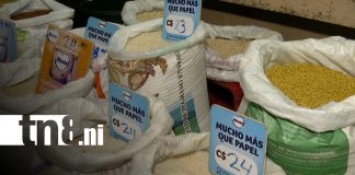 Foto: Canasta básica muestra cambios para esta semana en