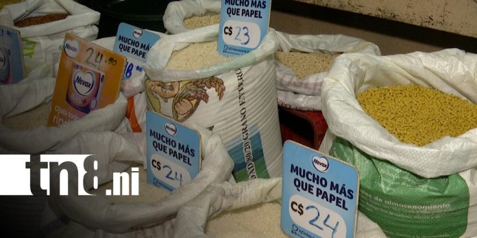 Foto: Canasta básica muestra cambios para esta semana en