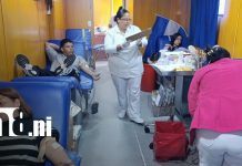 Universitarios de Managua se unen a jornada solidaria de donación de sangre Foto: Donación de sangre en Managua / TN8