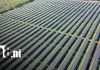 Foto: Más energía limpia para Nicaragua: inicia operaciones ENESOLAR 1 /TN8