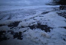 ¿Qué es la espuma marina que apareció en Playa Amarillo, Tola? Foto: Espuma marina en Tola, Rivas
