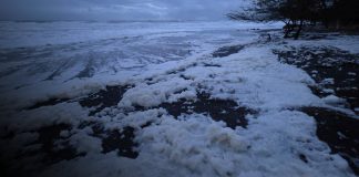 Foto: Espuma marina en Tola, Rivas
