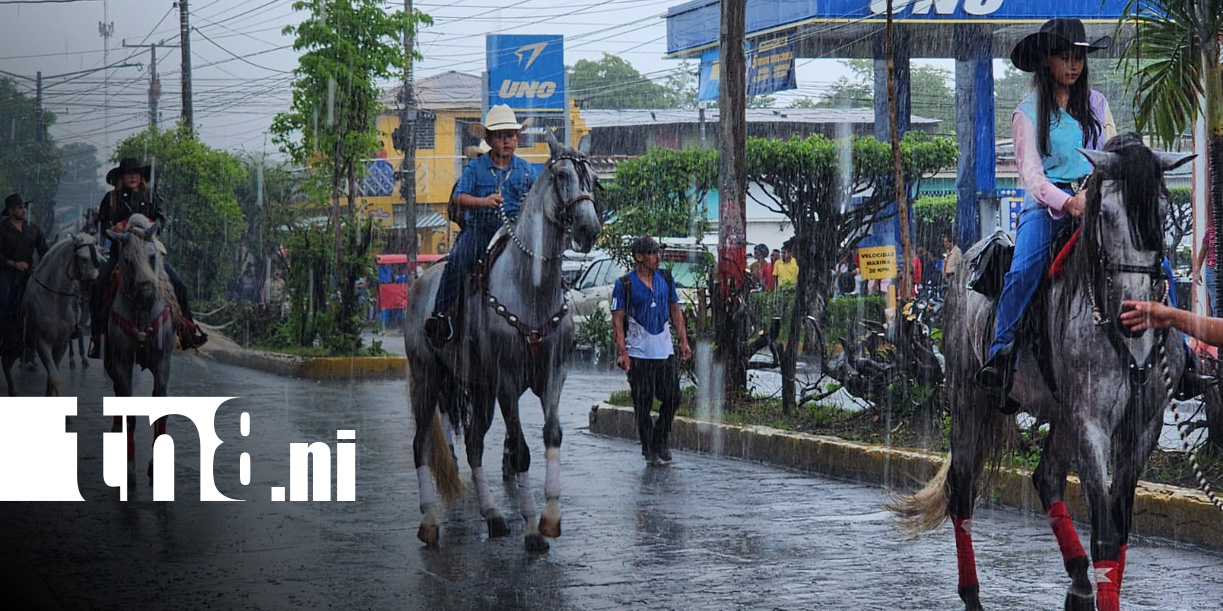 Foto: Gala Hípica en León estuvo a todo dar / TN8