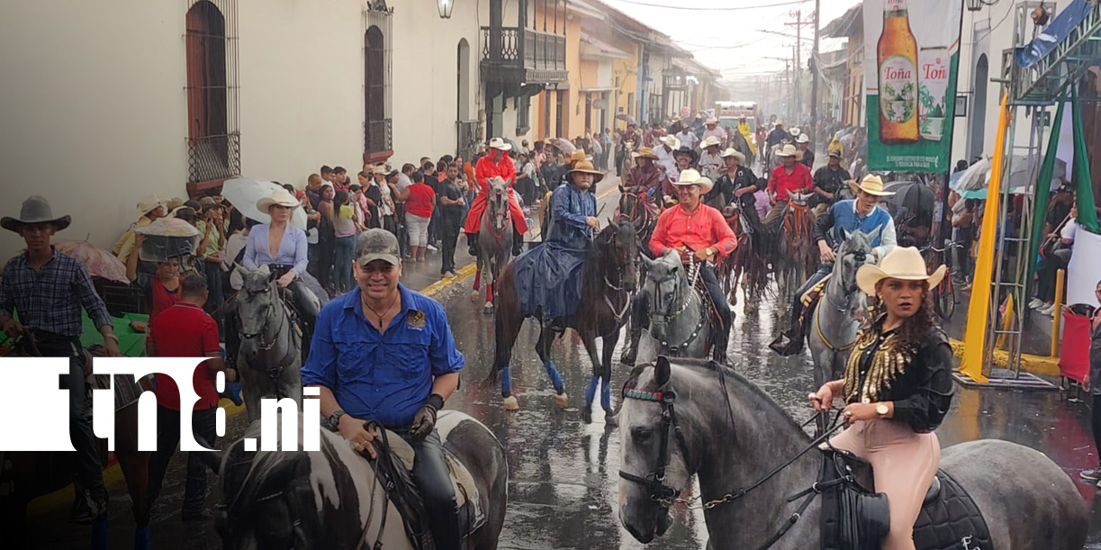 Foto: Gala Hípica en León estuvo a todo dar / TN8