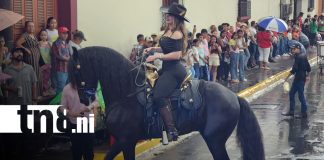 Foto: Gala Hípica en León estuvo a todo dar / TN8