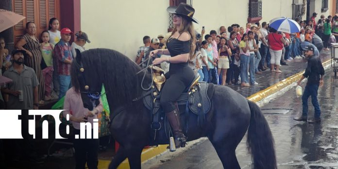 Foto: Gala Hípica en León estuvo a todo dar / TN8 Foto: Gala Hípica en León estuvo a todo dar / TN8