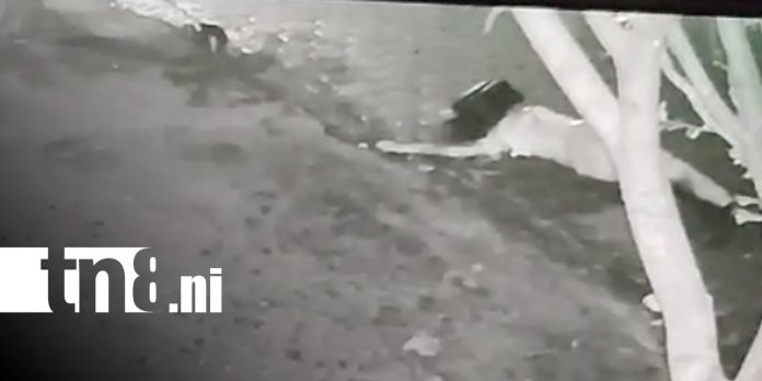 Foto: Accidente de tránsito en Managua / TN8