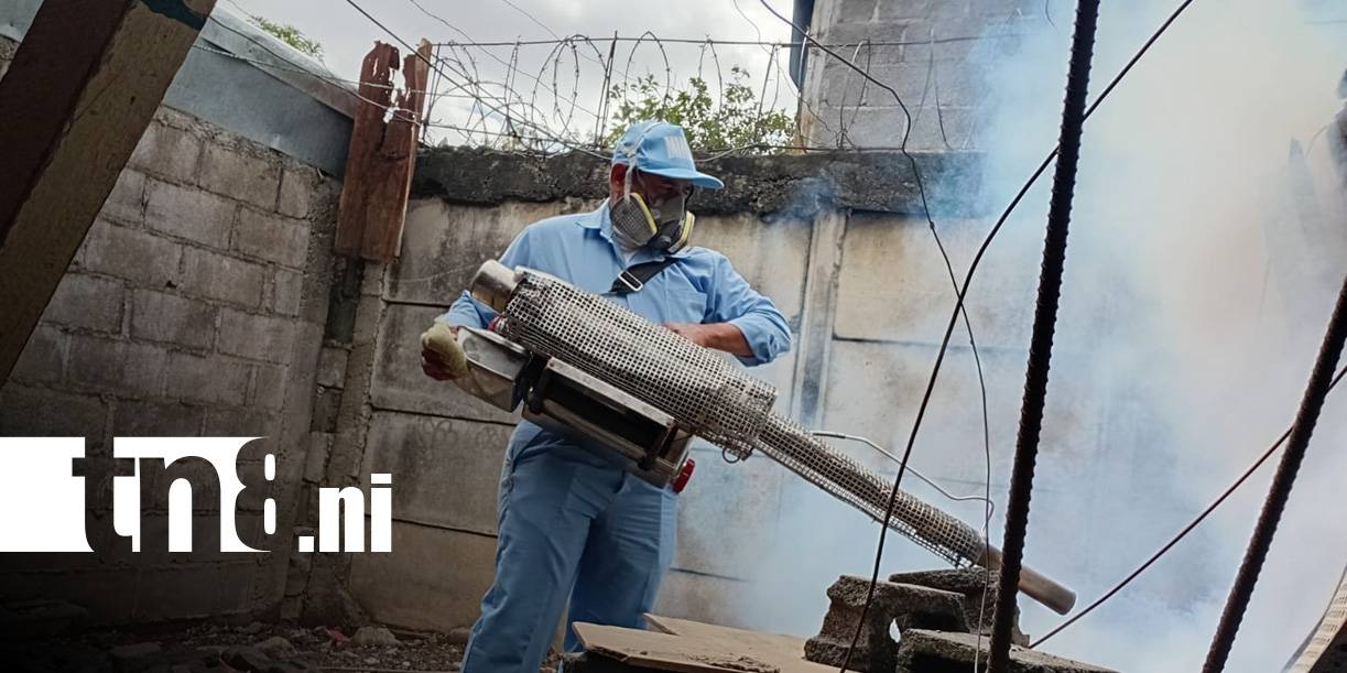 Foto: Fumigación en Managua / TN8
