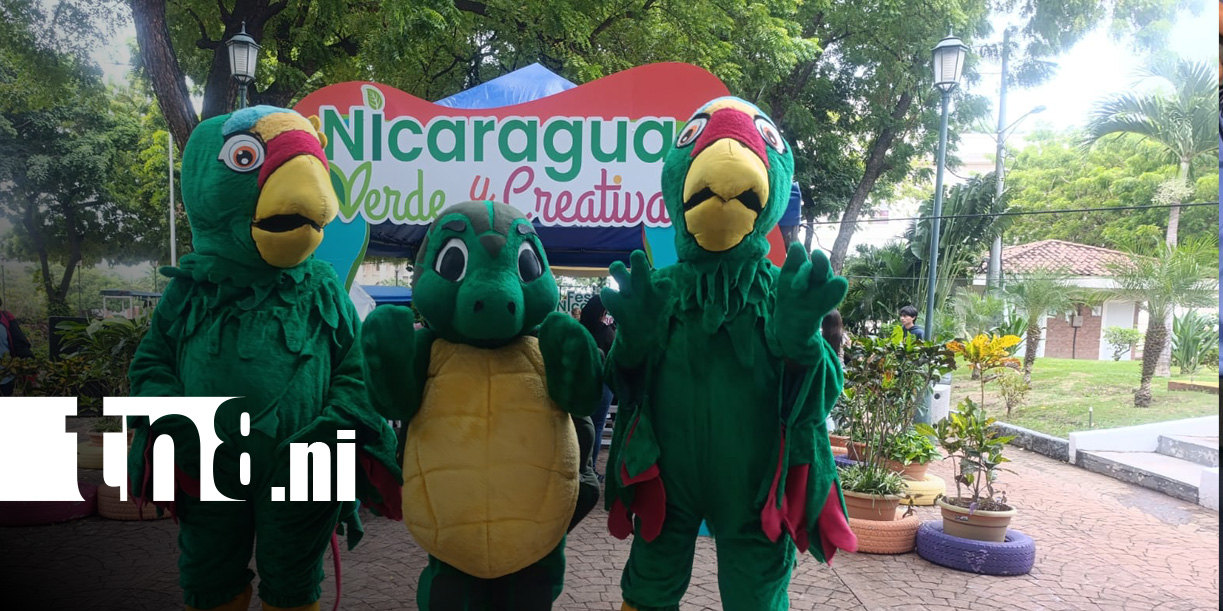 Foto: Realizan lanzamiento del Festival Nicaragua Verde y Creativa / TN8