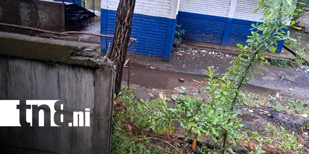 Foto: Lluvias en León / TN8