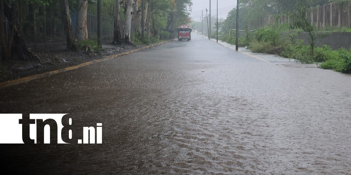 Foto: Lluvias en León / TN8