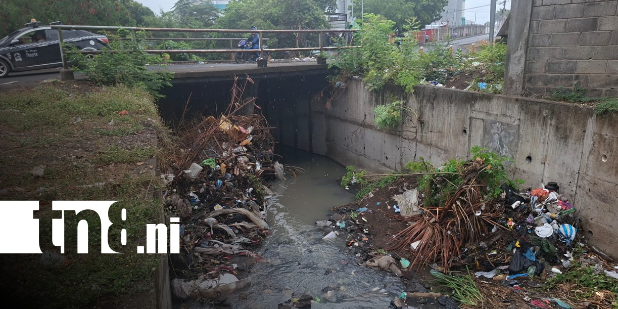 Foto: Acumulación de basura en cauces de Managua / TN8