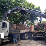 Alcaldía de Managua limpia cauce en Camilo Ortega tras denuncia de pobladores Foto: Limpieza de cauce en Managua / TN8