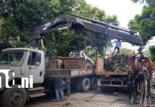 Alcaldía de Managua limpia cauce en Camilo Ortega tras denuncia de pobladores Foto: Limpieza de cauce en Managua / TN8