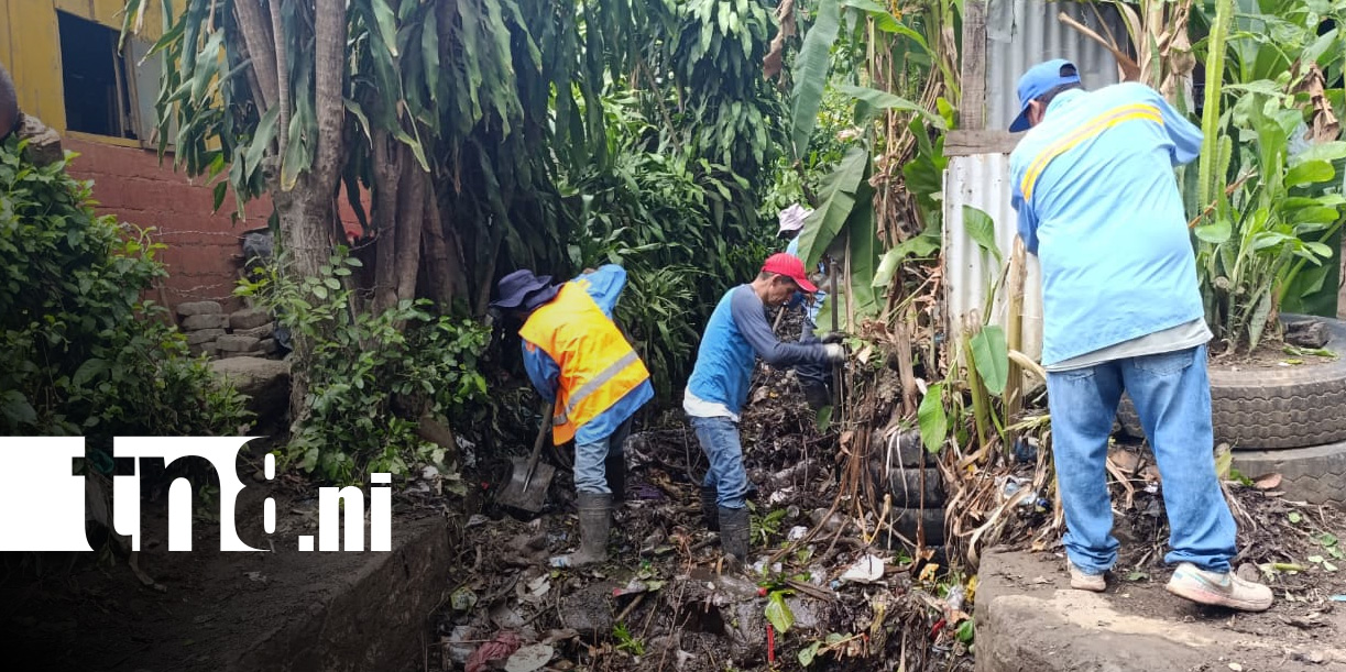 Foto: Limpieza de cauce en Managua / TN8
