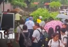 Madre e hijo se salvan de tragedia tras caída de árbol en Chichigalpa Foto: Madre e hijo pasan tremendo susto por la caída de un árbol en Chichigalpa / TN8