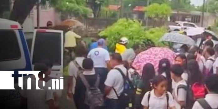 Foto: Madre e hijo pasan tremendo susto por la caída de un árbol en Chichigalpa / TN8