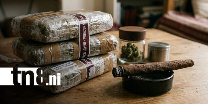 Foto: Incautación de marihuana en Nueva Segovia