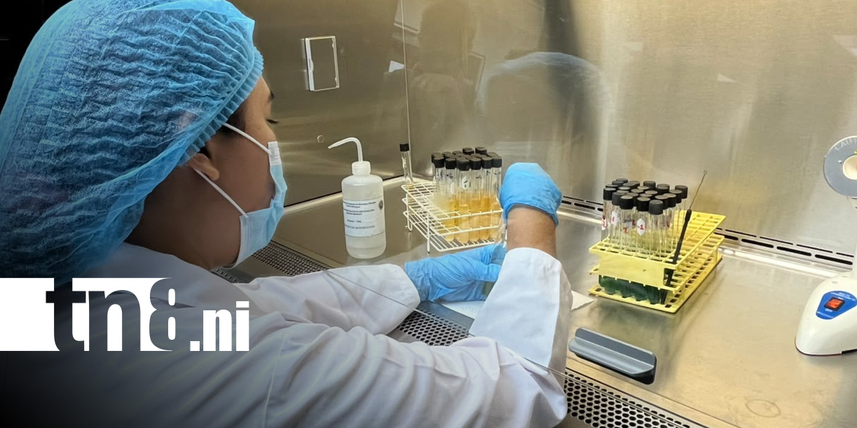 Foto: Mejoras en Laboratorio de Microbiología de la UNAN-Managua 
