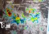 Prepare el capote y la sombrilla: depresión tropical traerá más lluvias a Nicaragua Foto: Prepare el capote y la sombrilla: depresión tropical traerá más lluvias a Nicaragua /TN8