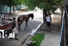 ¿Nueva modalidad? Delincuentes en carretón asaltan a estudiante en Managua Foto: Robo en Managua desde un carretón / TN8