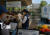 Foto: Sanidad agropecuaria en Nicaragua, pilar en la región / TN8