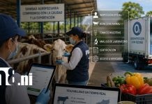 Foto: Sanidad agropecuaria en Nicaragua, pilar en la región / TN8