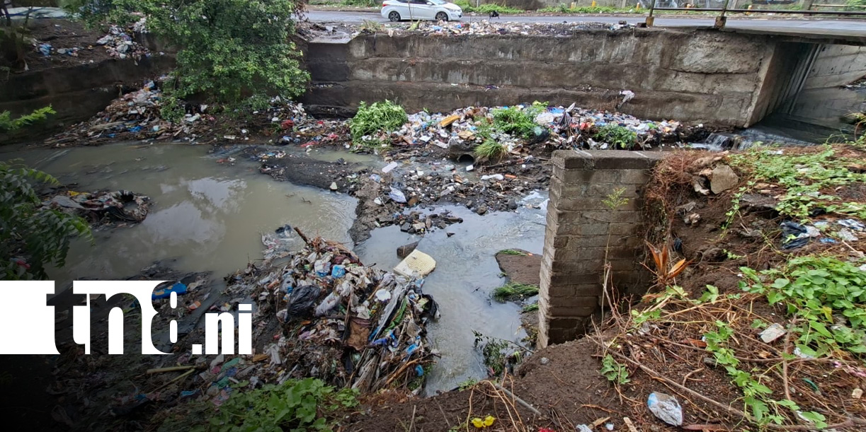 Foto: Acumulación de basura en cauces de Managua / TN8