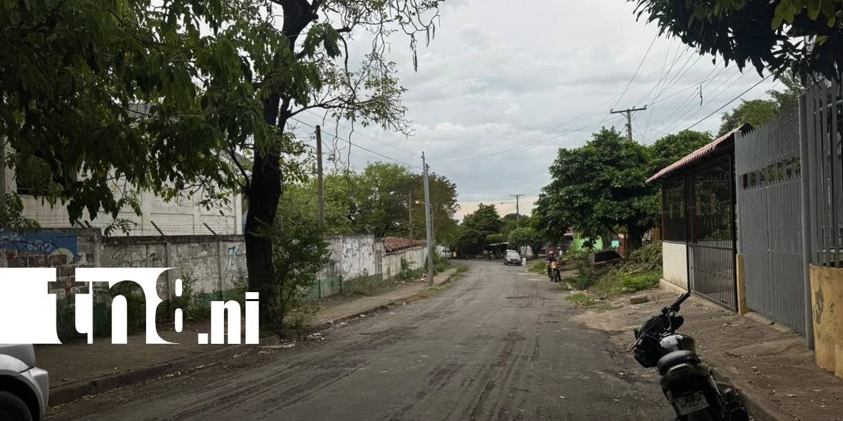 Foto: Del miedo al progreso: así cambió la historia del Reparto Schick /TN8